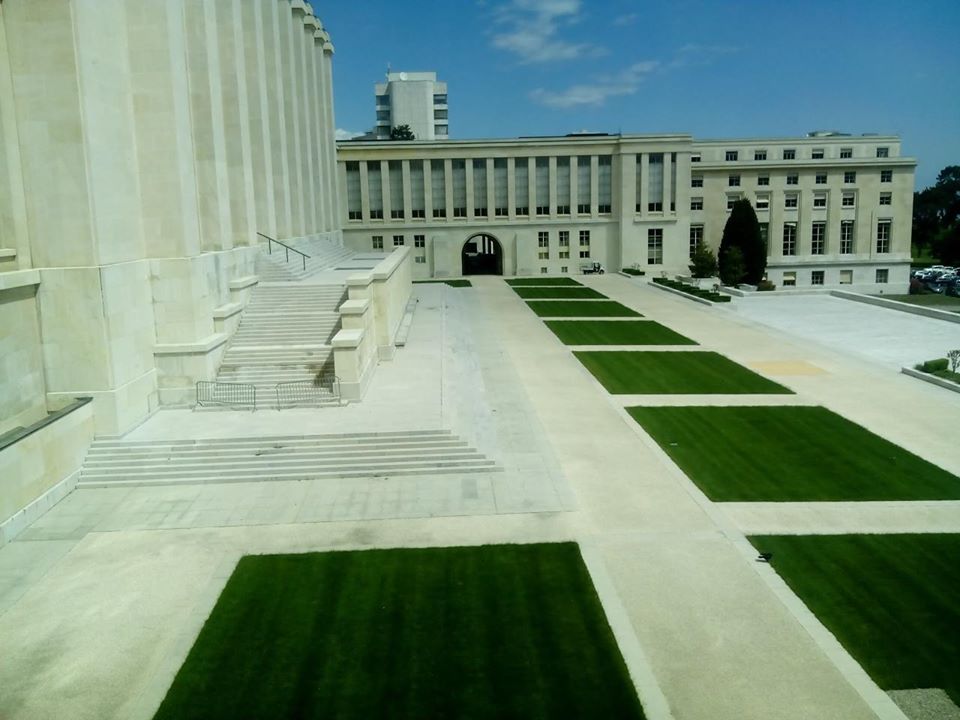 Pan African Institute